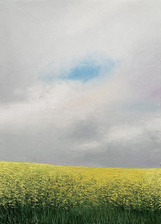 peinture de l'artiste benoit trimborn : champ de Colza en Alsace