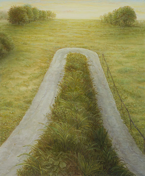 peinture de l'Artiste Mitsuo Shiraishi