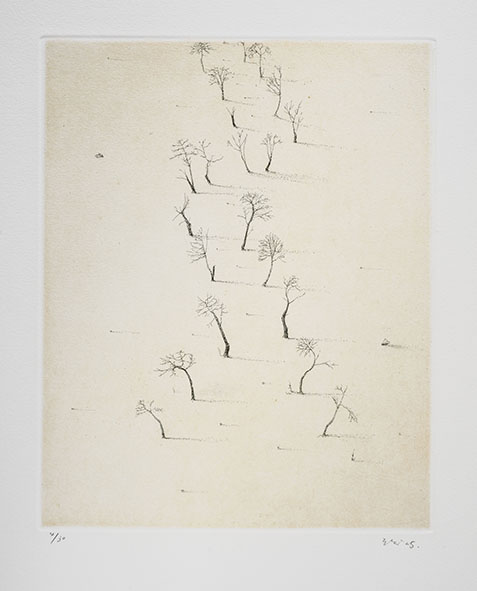 gravure aquatinte de l'Artiste Mitsuo Shiraishi