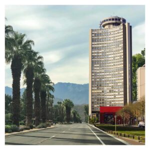 photographie Mulhouse Gérard Dumora Palm Street