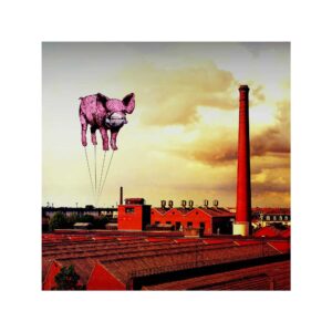 photographie de l'artiste Dumora Animals