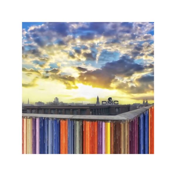 photographie de l'artiste Dumora DMC Colors