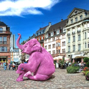 photographie de l'artiste Dumora Eléphant rose