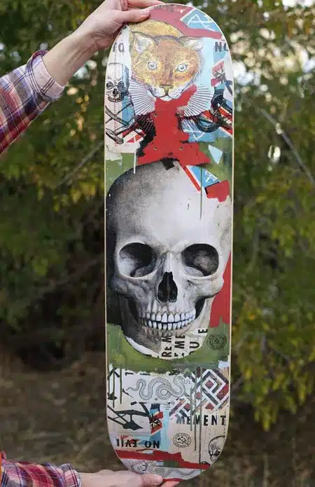 skate Ravi Zupa